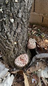 엉뚱님의 작성글 사진