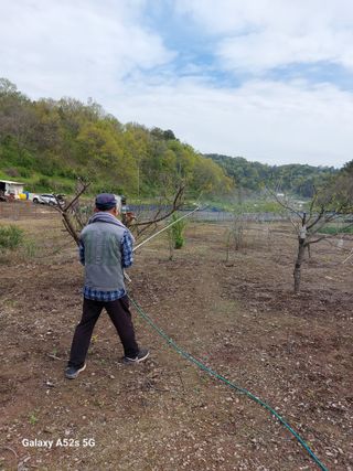 손길준님의 기타작물 · 영농일지 작성글 사진