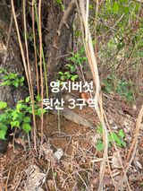 쌍둥이농장님의 작성글 사진