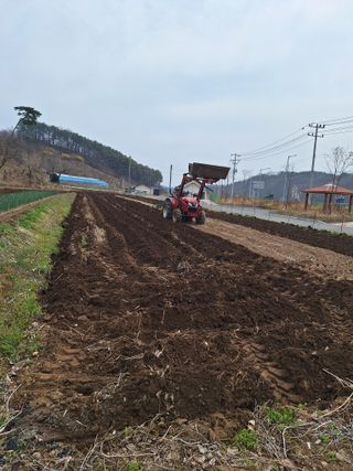 정도영님의 기타작물 · 영농일지 작성글 사진