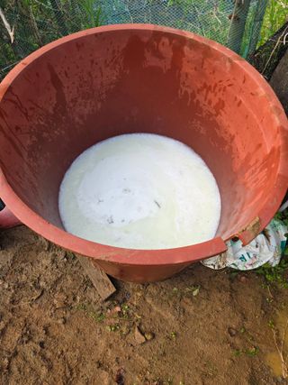 정영석님의 복숭아 · 영농일지 작성글 사진