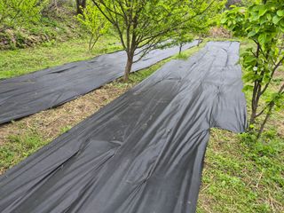 최은종님의 기타작물 · 영농일지 작성글 사진