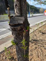 김용대님의 작성글 사진