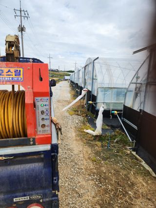 김저팔계님의 기타작물 · 영농일지 작성글 사진