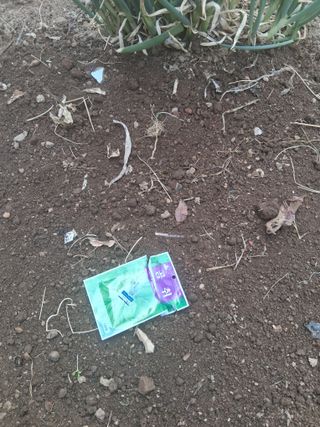 문현자 님의 기타작물 · 영농일지 작성글 사진