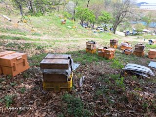 조연만님의 기타작물 · 영농일지 작성글 사진