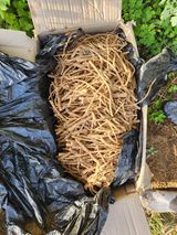 루라121(임동구)님의 작성글 사진