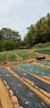 한병훈님의 작성글 사진