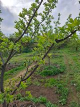 철남 김희곤님의 작성글 사진