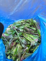 김영옥님의 작성글 사진