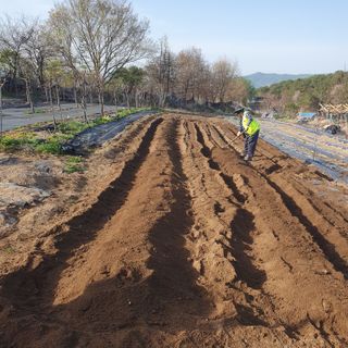 시민농장님의 기타작물 · 영농일지 작성글 사진