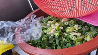 늘푸른 농장주님의 파 · 영농일지 작성글 사진