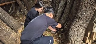 엉뚱님의 작성글 사진