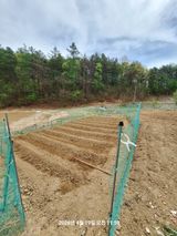 이수홍(이창희)님의 작성글 사진