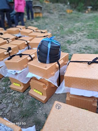 조연만님의 기타작물 · 영농일지 작성글 사진