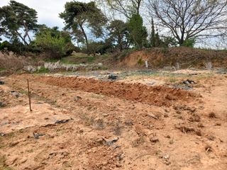 블루하늘TV님의 기타작물 · 영농일지 작성글 사진