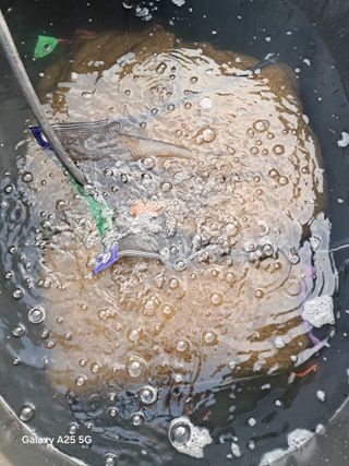 귤21628님의 고추 · 영농일지 작성글 사진