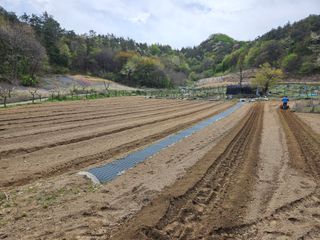 최미선님의 기타작물 · 영농일지 작성글 사진