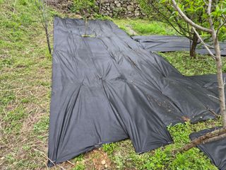 최은종님의 기타작물 · 영농일지 작성글 사진