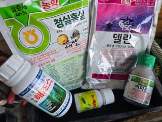 노아님의 복숭아 · 영농일지 작성글 사진