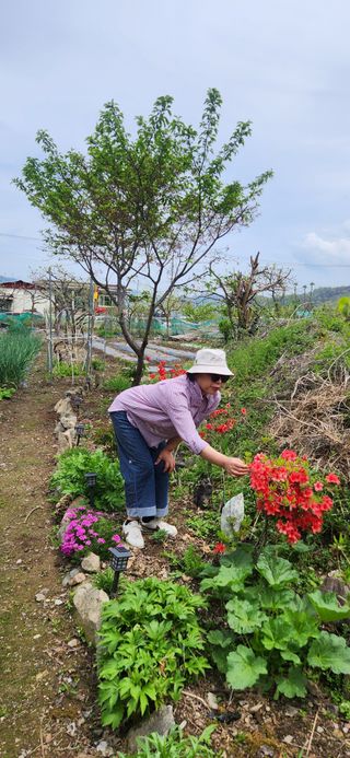 김순섭님의 기타작물 · 영농일지 작성글 사진