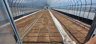 강연수님의 벼 · 영농일지 작성글 사진