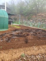 참깨.고추ㆍ박천제님의 작성글 사진