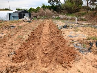 블루하늘TV님의 기타작물 · 영농일지 작성글 사진