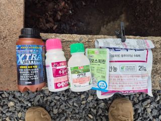 조성민님의 자두 · 영농일지 작성글 사진