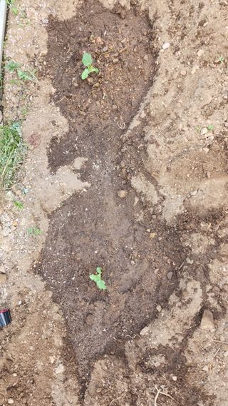 사과18413님의 기타작물 · 영농일지 작성글 사진