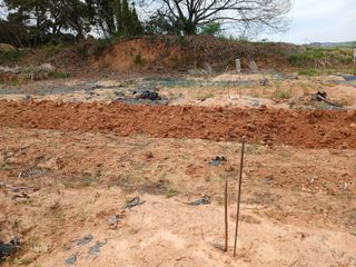 블루하늘TV님의 기타작물 · 영농일지 작성글 사진