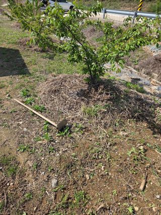 정영석님의 기타작물 · 영농일지 작성글 사진