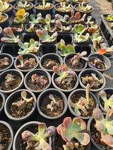 신상섭님의 작성글 사진