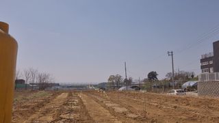 정서연님의 포도 · 영농일지 작성글 사진