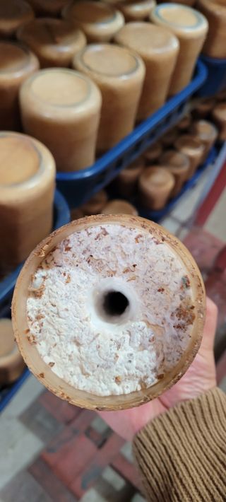 오●석님의 기타작물 · 영농일지 작성글 사진