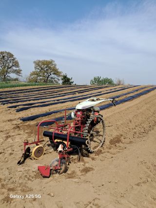 귤21628님의 고추 · 영농일지 작성글 사진