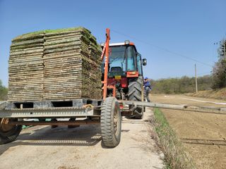 신승철님의 벼 · 영농일지 작성글 사진