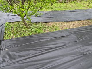 최은종님의 기타작물 · 영농일지 작성글 사진