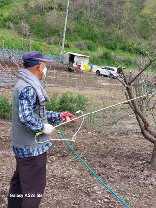 손길준님의 기타작물 · 영농일지 작성글 사진