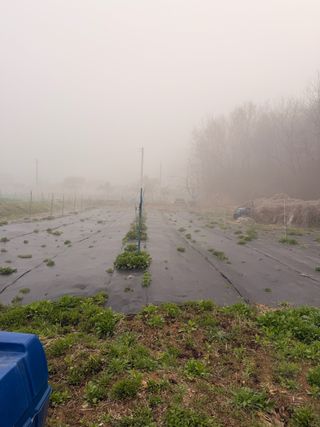 김한석님의 복숭아 · 영농일지 작성글 사진