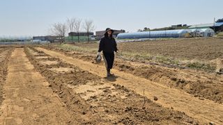 정서연님의 포도 · 영농일지 작성글 사진