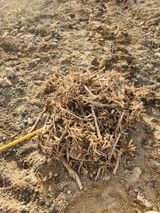 루라121(임동구)님의 작성글 사진