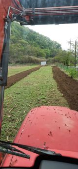 이진수님의 작성글 사진