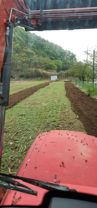 이진수님의 기타작물 · 영농일지 작성글 사진