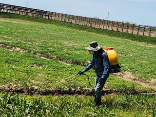 심지님의 기타작물 · 영농일지 작성글 사진