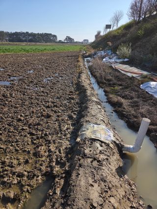 백현호님의 기타작물 · 영농일지 작성글 사진