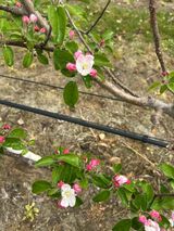 임영택님의 작성글 사진