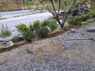 백운농원 님의 기타작물 · 영농일지 작성글 사진