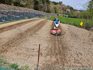 최미선님의 기타작물 · 영농일지 작성글 사진