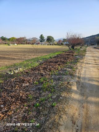 김병효님의 기타작물 · 영농일지 작성글 사진